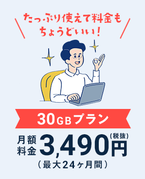 nextmobile_31.png たっぷり使えて料金もちょうどいい 30GBプラン